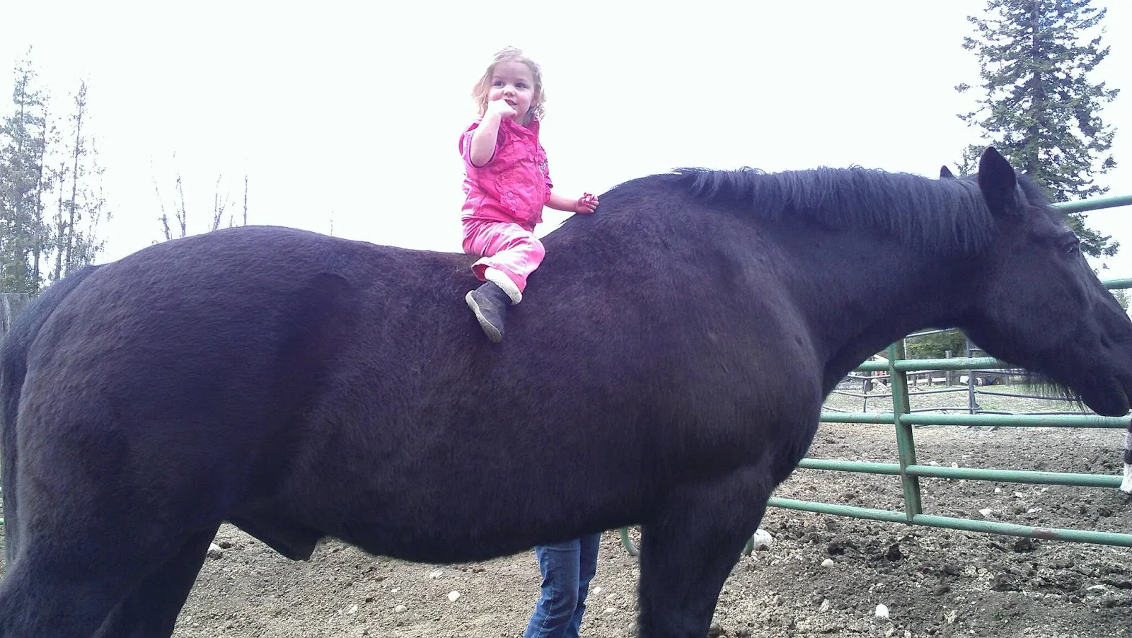 The Bigger the Horse the Bigger the Heart