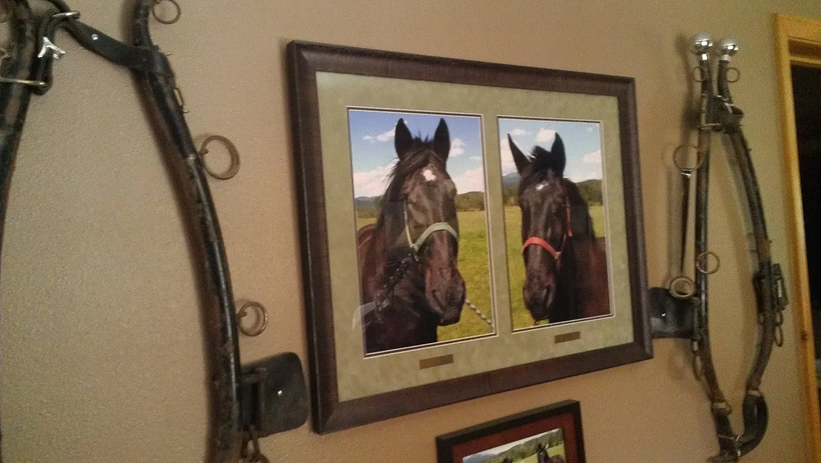 The Bigger the Horse the Bigger the Heart
