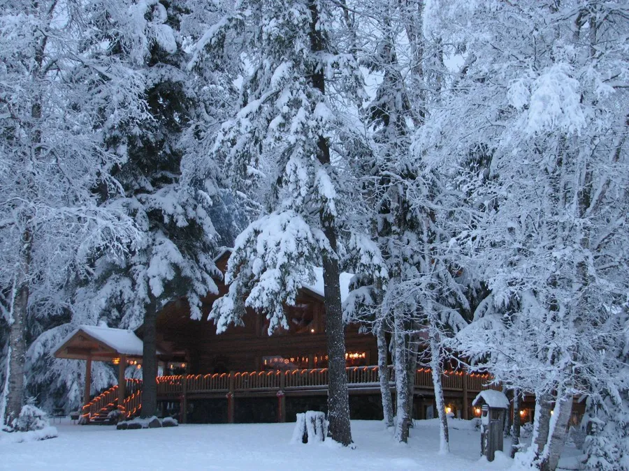 The log lodge with its deck lit up, under tall trees heavy with snow