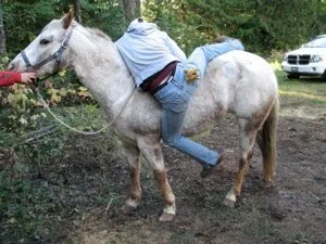 How to Get on Your Horse Bareback