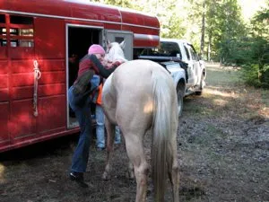 How to Get on Your Horse Bareback