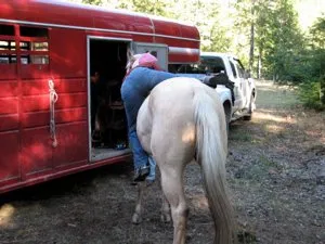 How to Get on Your Horse Bareback
