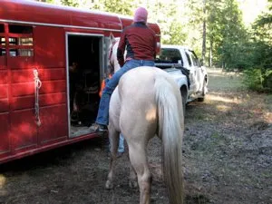 How to Get on Your Horse Bareback