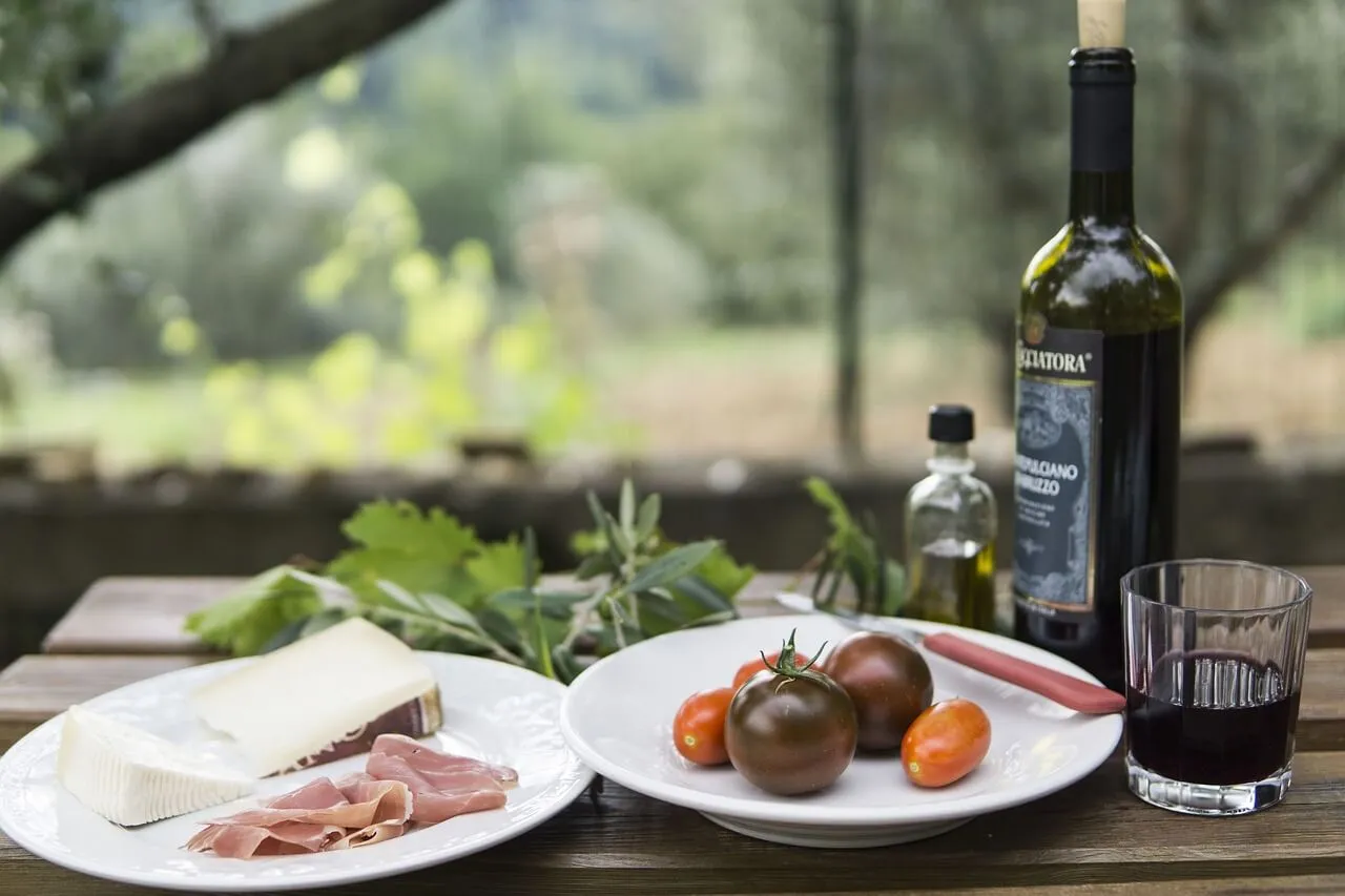 Picnic dinner of meat, cheese, vegetables and wine