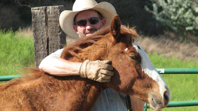 Desensitizing the horse
