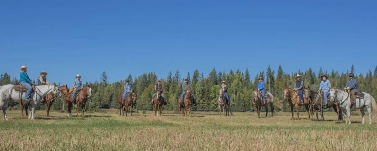 Twelve riders on horseback lined up across a grassy meadow in front of a stand of pines under a clear blue sky