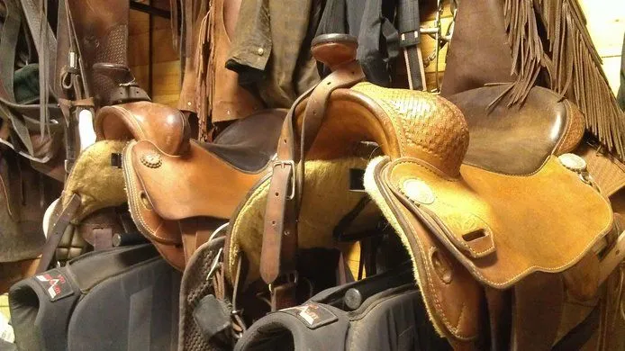 Close up of saddles in a tack room