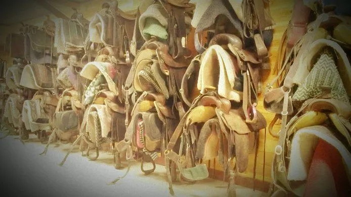 Wall of saddles