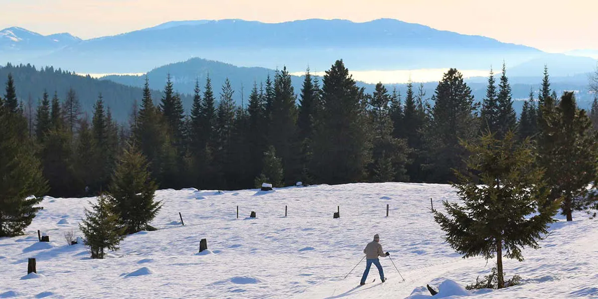 Things to do in Sandpoint