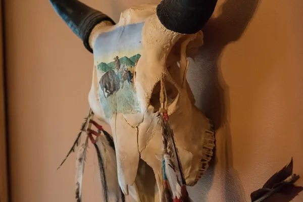 Nez Perce painted Buffalo skull with feathers