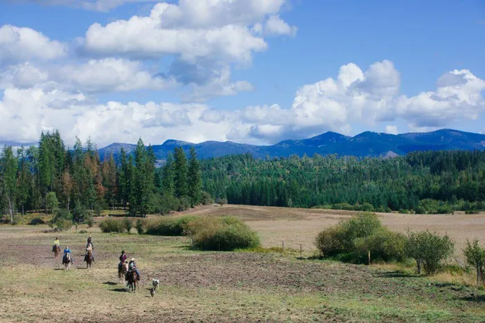 six people on a horseback ride adventure across a field with blue Idaho mountains in the background and blue sky overhead