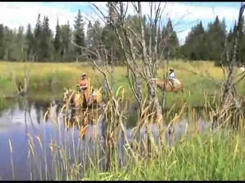 Two riders cross a pond in a summer meadow, seen through tall grass