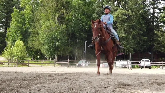 A young rider in a helmet on a sorrel horse in the outdoor arena