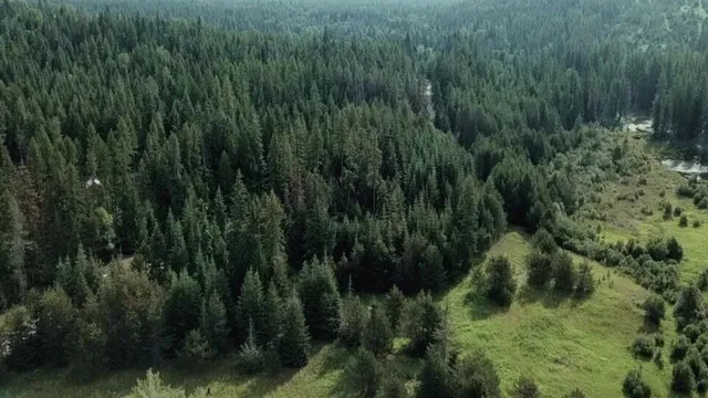 Aerial view of forested hills and green meadows around the ranch
