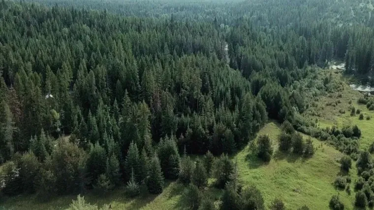 Aerial view of forested hills and green meadows around the ranch