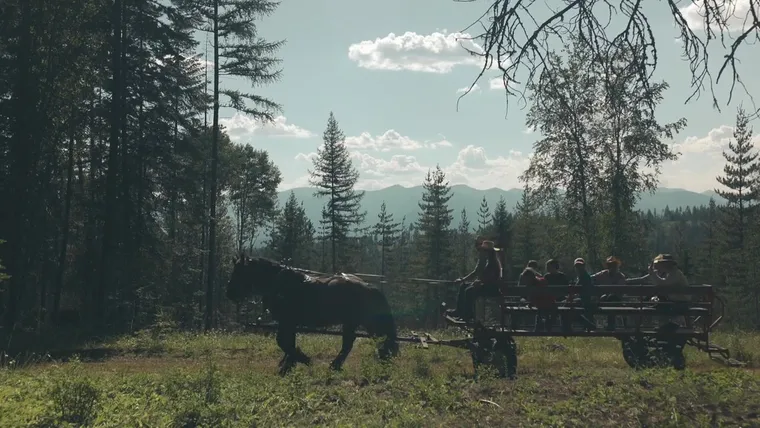 A draft horse pulls a wagon of guests through a forest clearing with mountains behind