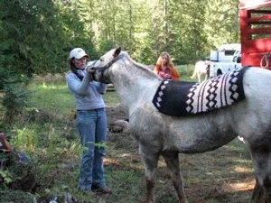 How to Get on Your Horse Bareback