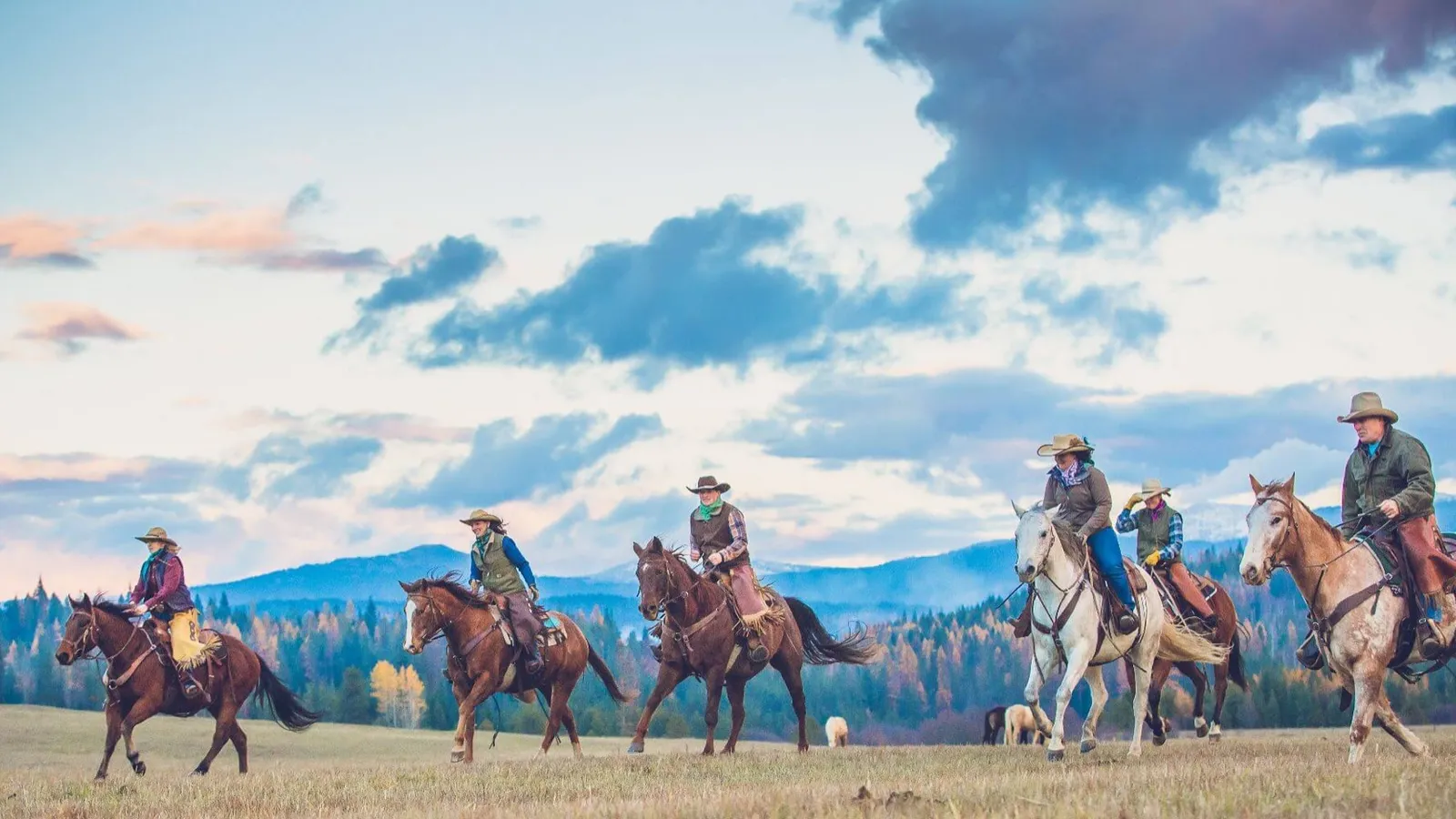 Six riders on horseback crossing a meadow, with forested hills and mountains behind