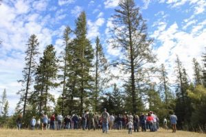 Idaho Tree Farm Tour 2016