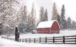 Winter Guest Ranch Big Red Barn and snow covered fence