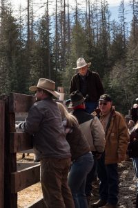 Ranchers viewing the Red Angus Bulls