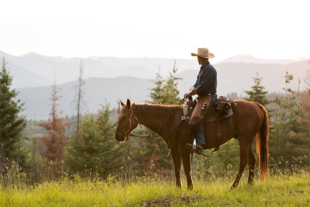 Western Pleasure Guest Ranch cowboy riding a horse