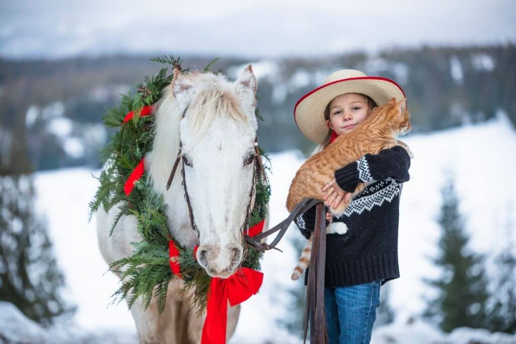 little girl in cowboy hat holding an orange cat white pony standing next to her with a Christmas wreath around its neck.