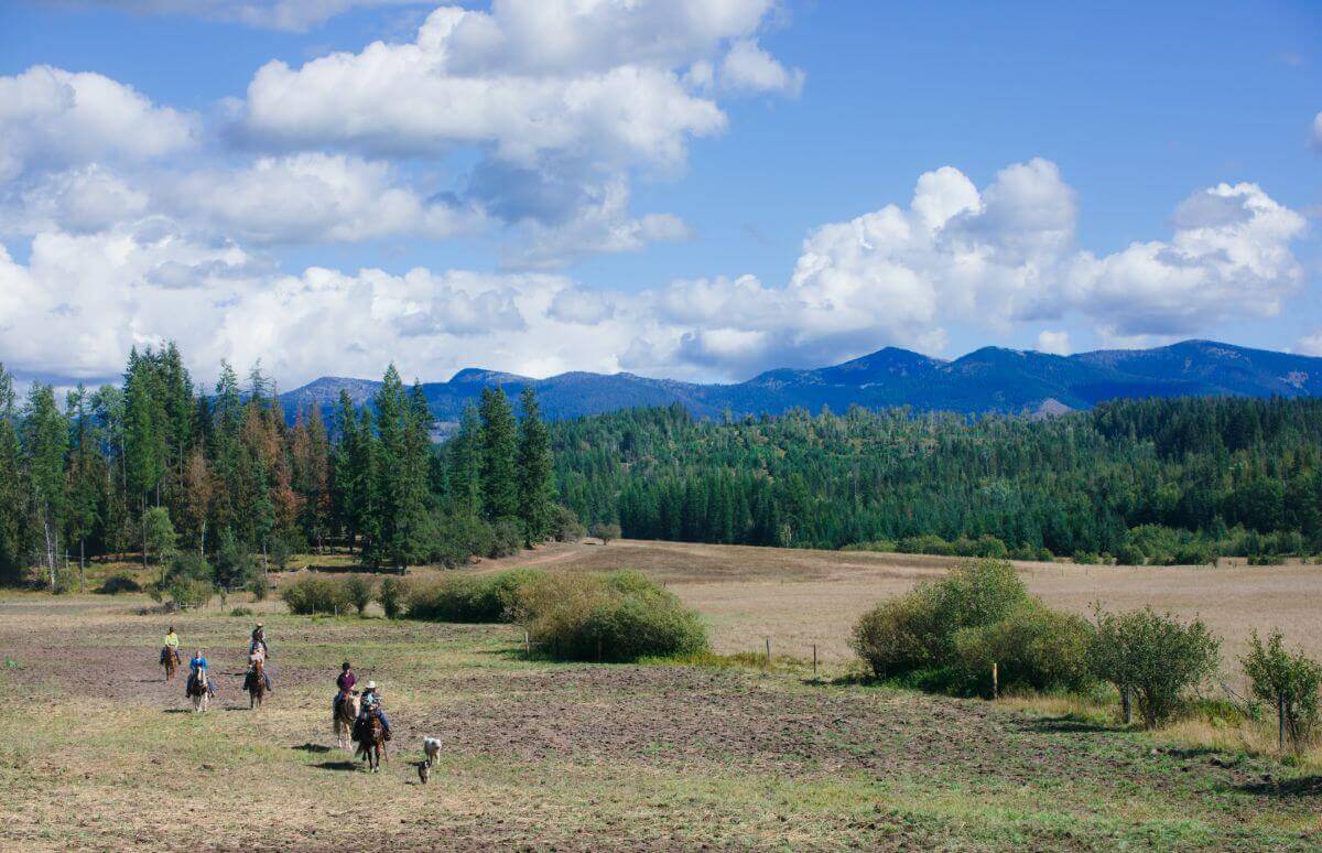 six people on a horseback ride adventure across a field with blue Idaho mountains in the background and blue sky overhead