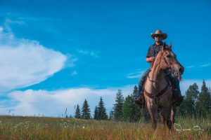 cowboy in a field sitting on a ranch horse with blue sky overhead