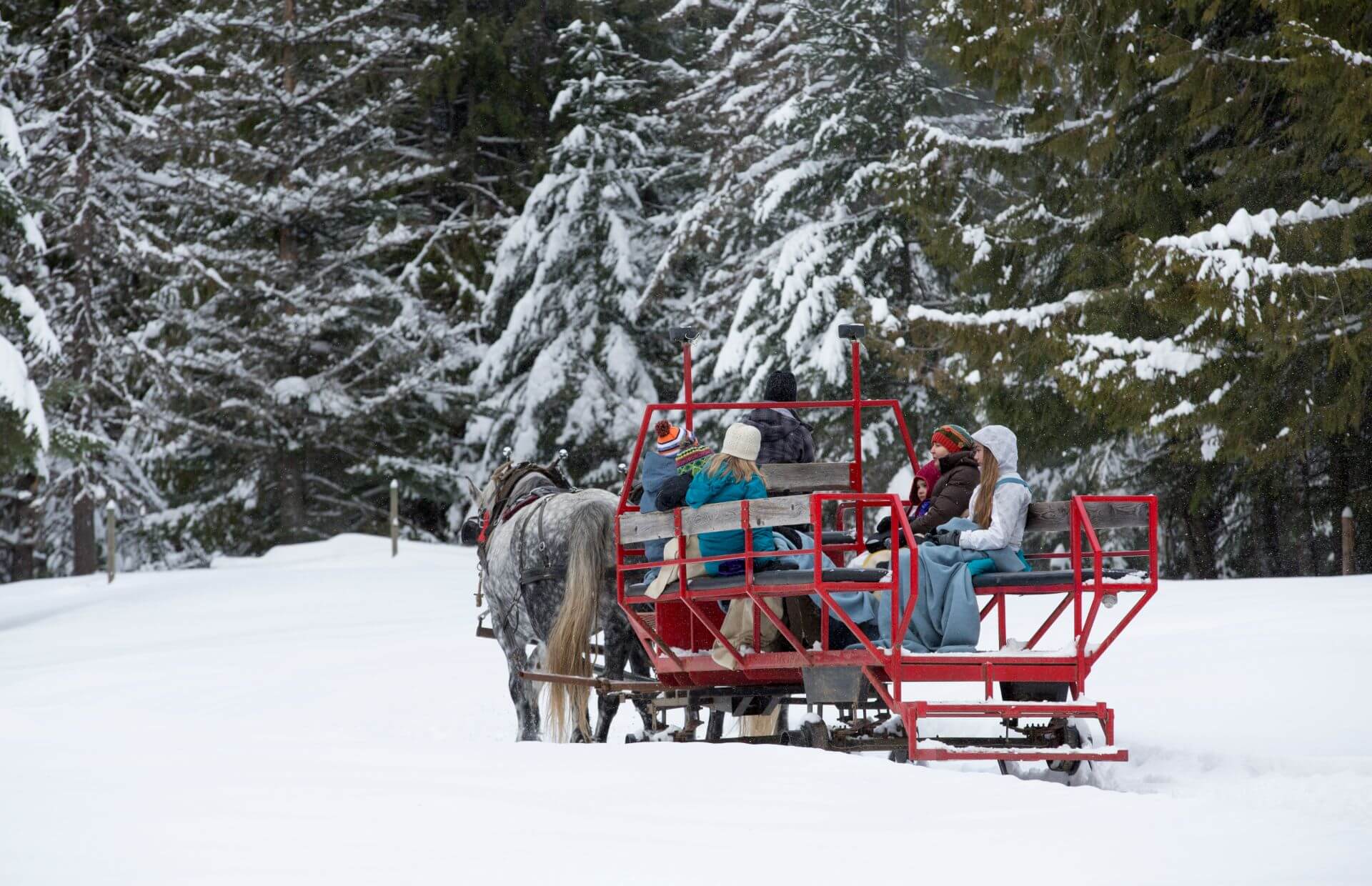 people on a red sleigh riding through the snow covered forest at Western Pleasure Guest Ranch in Idaho